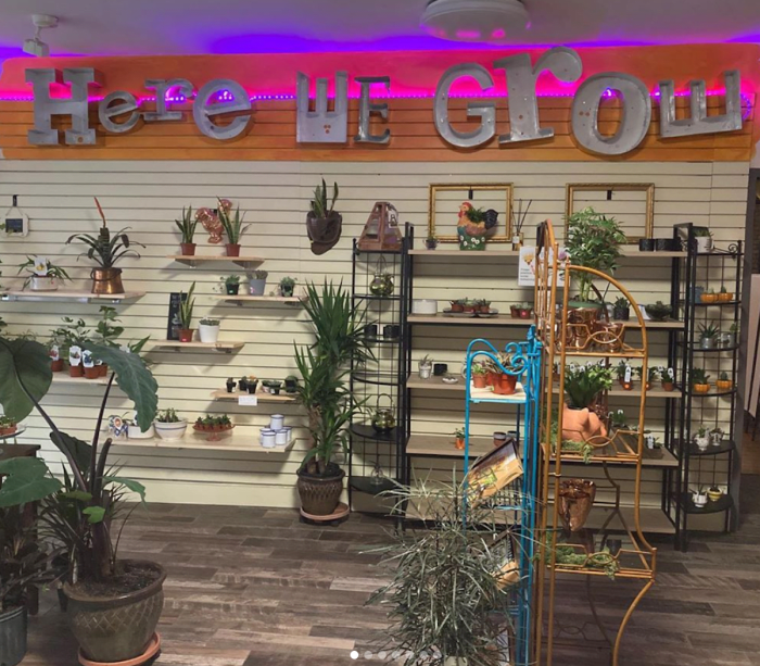 Pandemic inspires Minneapolis hair salon to open store for