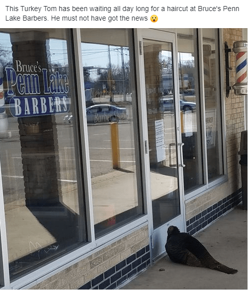 What is believed to be the first major appearance of Penny in local social media.