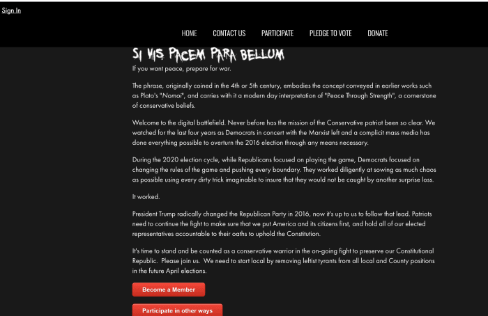 The website as it appeared before it was deleted last week following news reports