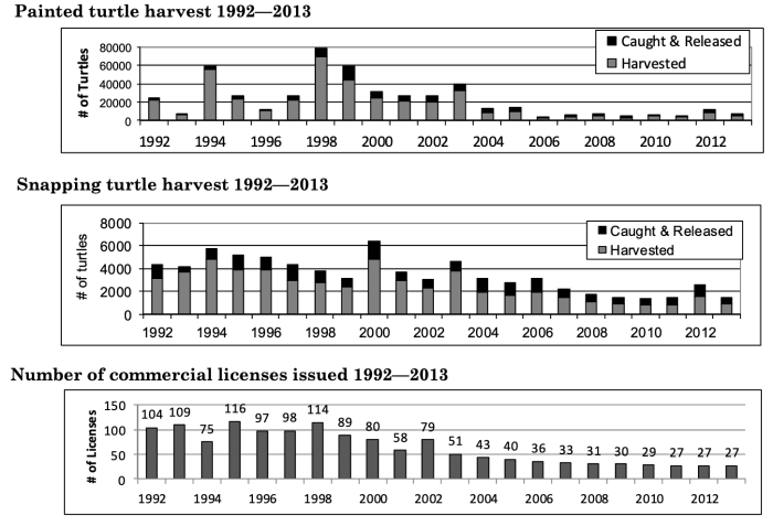 The Minnesota Commercial Turtle Harvest report for 2012-2013 looks at how many turtles were harvested each year from 1992 to 2013.