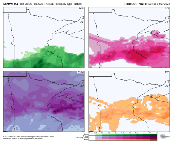This graphic shows potential for the Twin Cities to get all four types of precipitation (rain, freezing rain, snow and sleet).