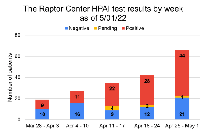 As of May 1, The Raptor Center has tested 189 individuals on admit with 114 testing positive for highly pathogenic avian influenza (HPAI). Source: The Raptor Center.