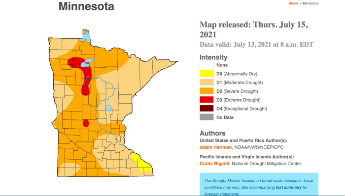 52% of Minnesota is in severe drought, while 4% is experiencing extreme drought conditions.