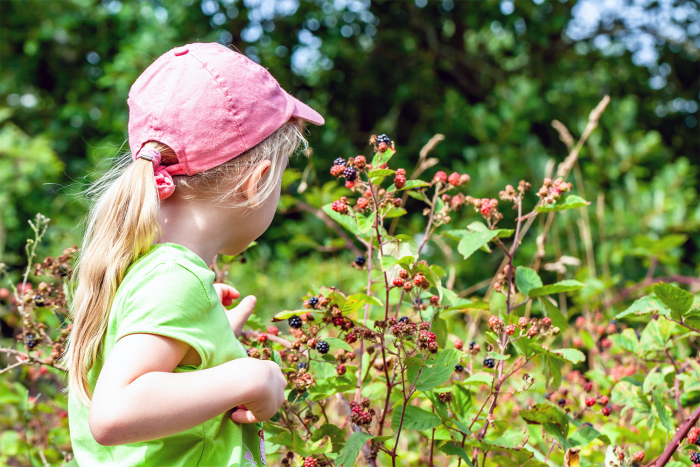 Afton Apple produces more than apples, including raspberries, pumpkins, and more. It's a seasonal destination for family-friendly activities like pick-your-own produce, a corn maze, a playground, and a petting farm.
