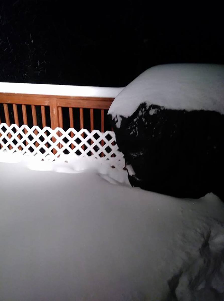 A look at the snow that fell in Milaca, MN. 