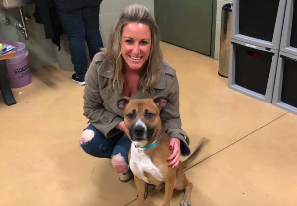 All pets adopted after huge turnout at Minneapolis 'Clear the Shelter'  event - Bring Me The News