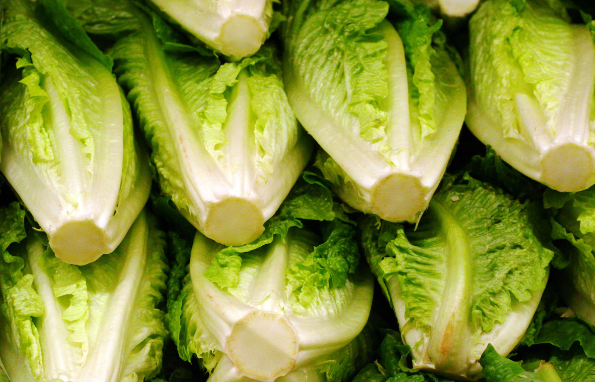 Romaine lettuce.