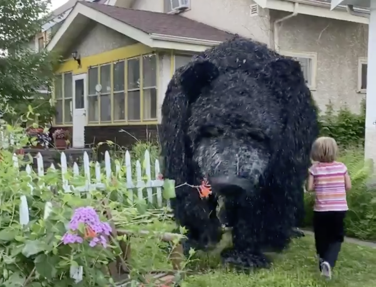 Video Of Dancing Bear Puppet In Minneapolis Neighborhood