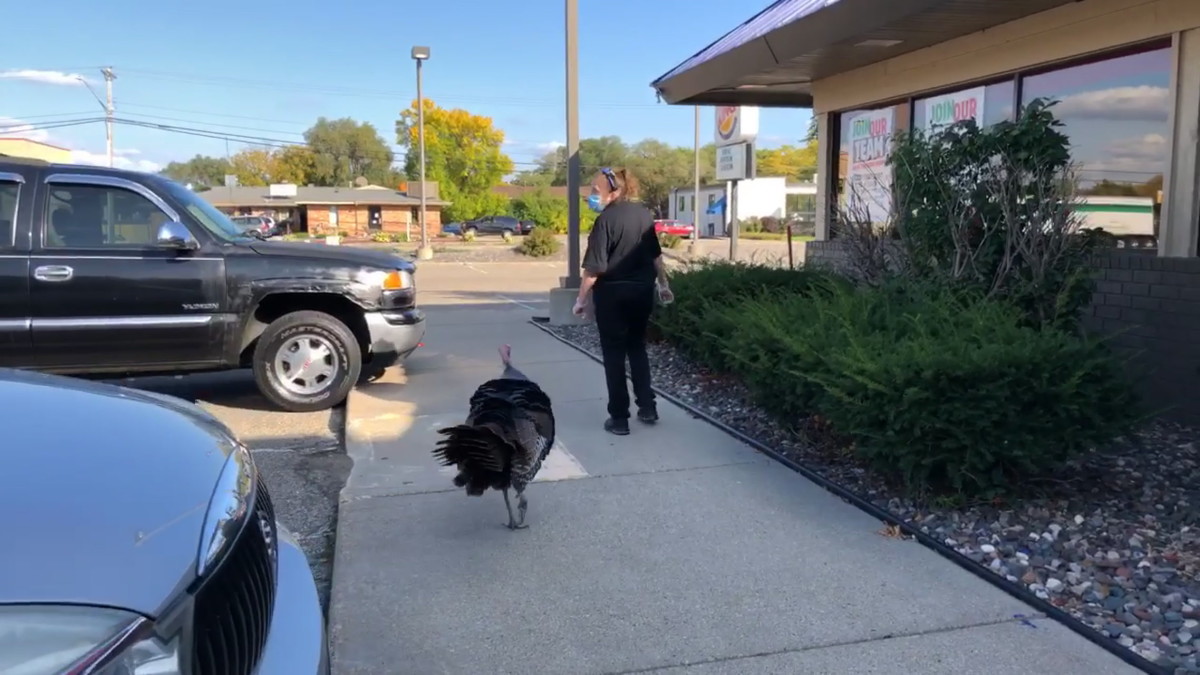 Penny escorted from Burger King