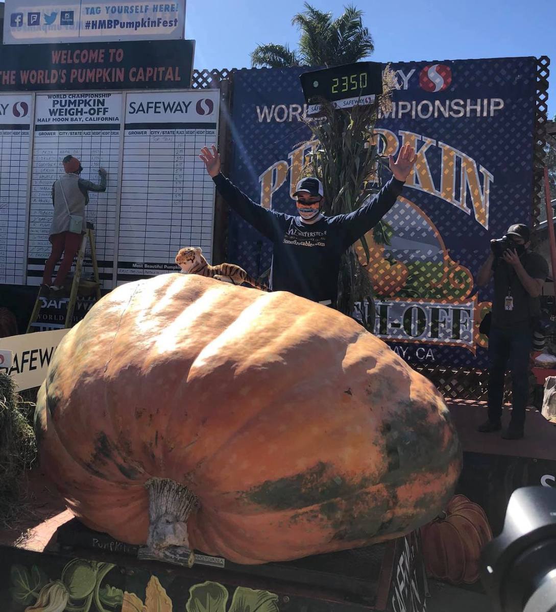 Travis Gienger grew a pumpkin that weighs more than 2,000 pounds.