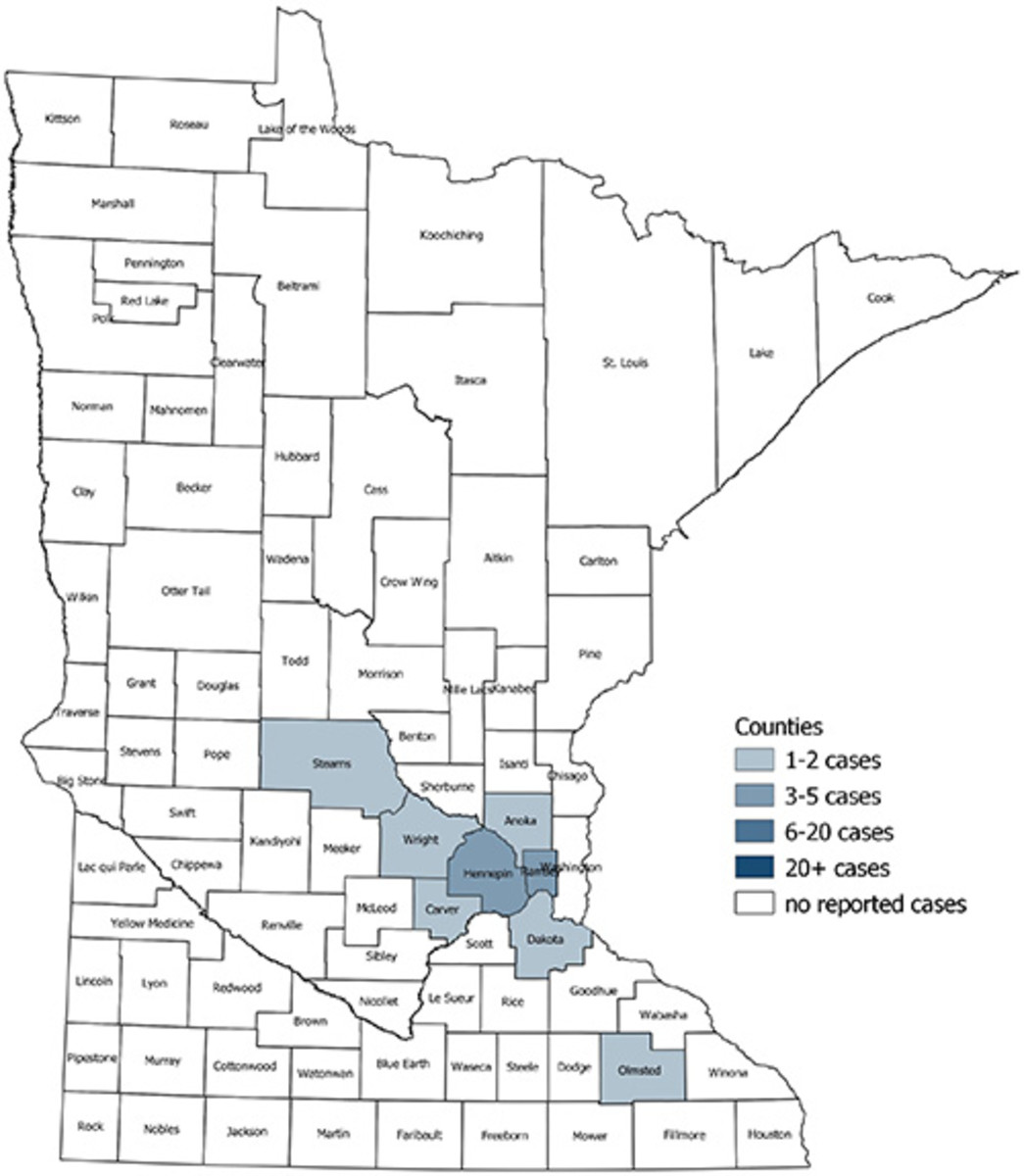 mn map with counties Confirmed Coronavirus Count Jumps To 14 In Minnesota Here S A Map mn map with counties