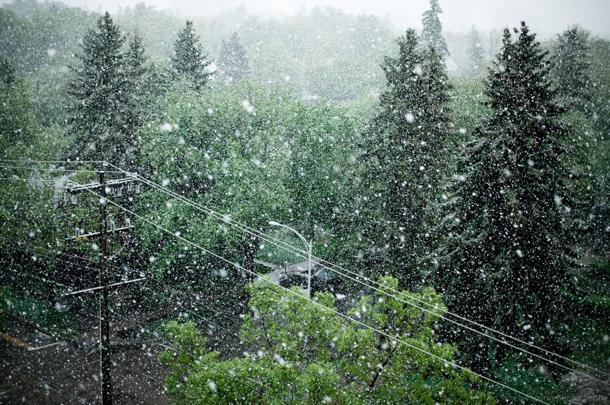 snow in May