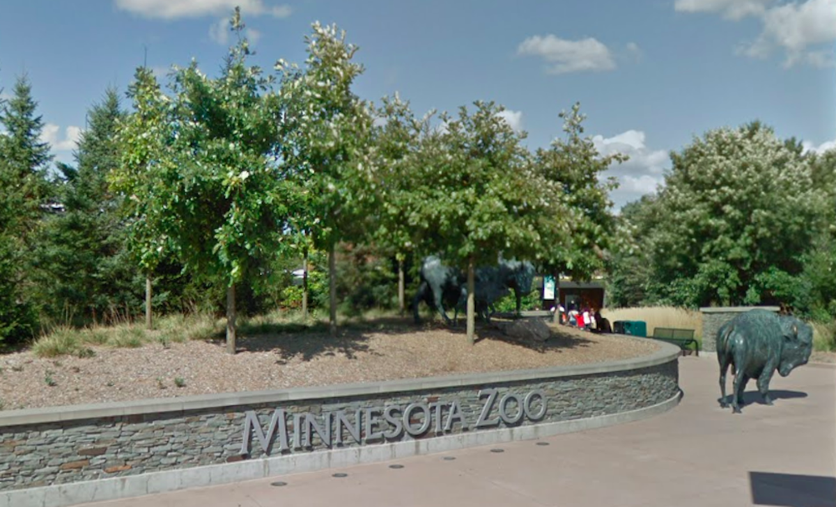 Facing Coronavirus Challenges Mn Zoo Lays Off Dozens Of Workers Bring Me The News