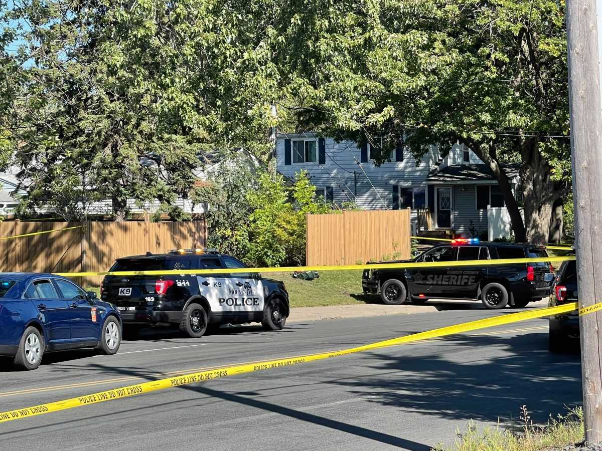 Man who died after being hit by squad car in Mounds View identified