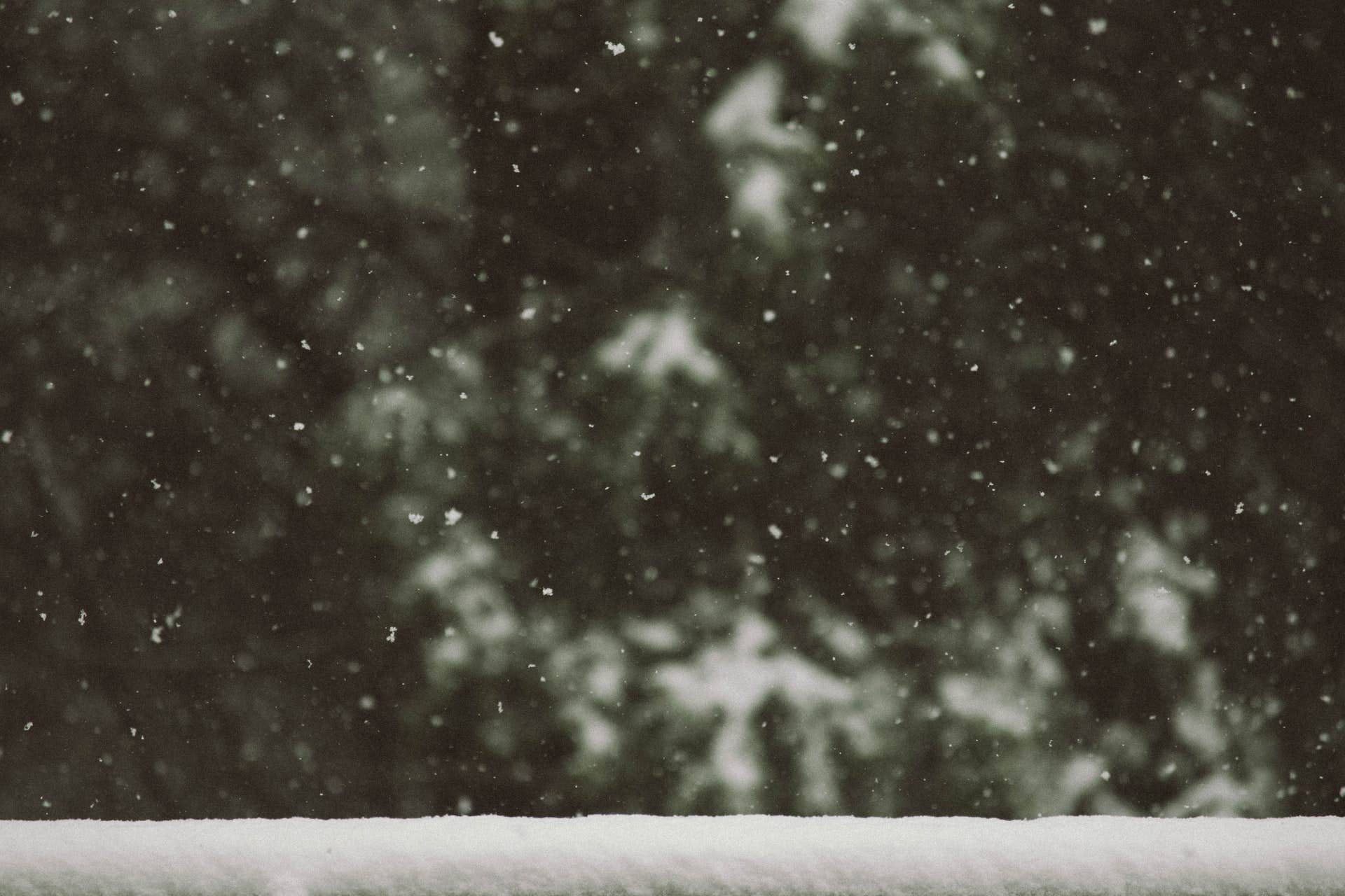 List: The average first snowfall for cities across Minnesota - Vimarsana News