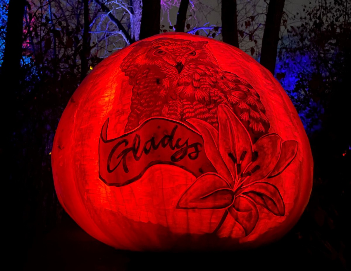 A pumpkin at the zoo's Jack-o-Lantern Spectacular featured Gladys. 