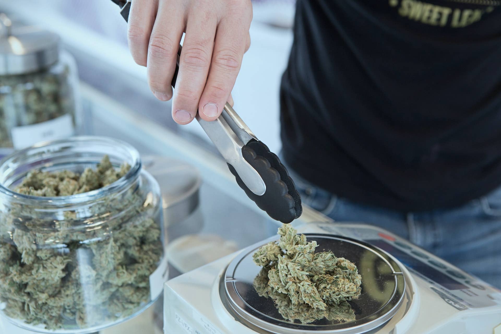 OCD, irritable bowel syndrome added to MN's medical marijuana list - Vimarsana News