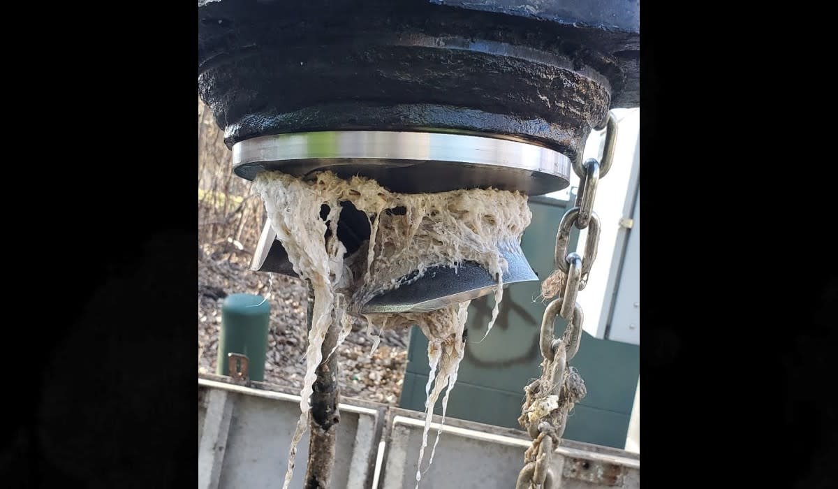 People in Chaska are flushing the wrong crap down the toilet People in Chaska are flushing the wrong crap down the toilet