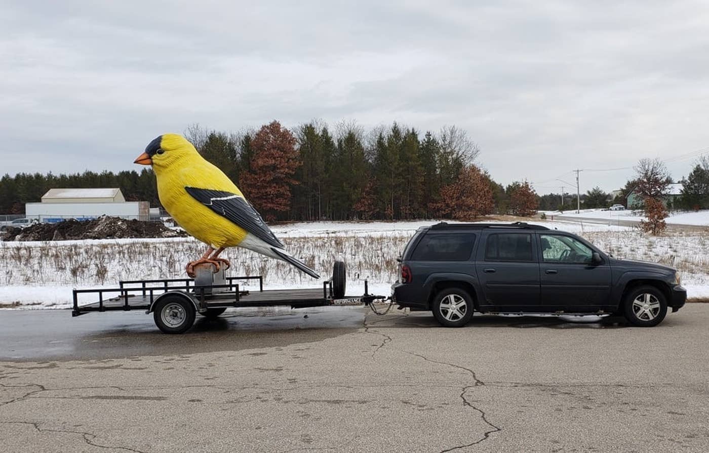 Photos: The 12-foot-tall American goldfinch that now calls Bloomington home - Vimarsana News