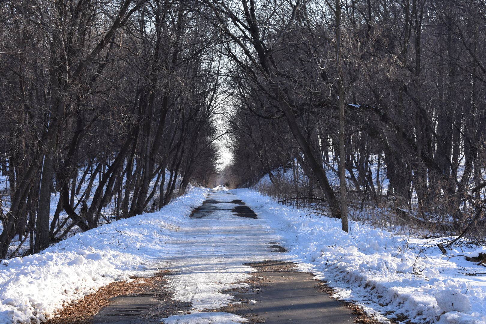 U of M study: Minnesota winters could be 11 degrees warmer by 2100 - Vimarsana News