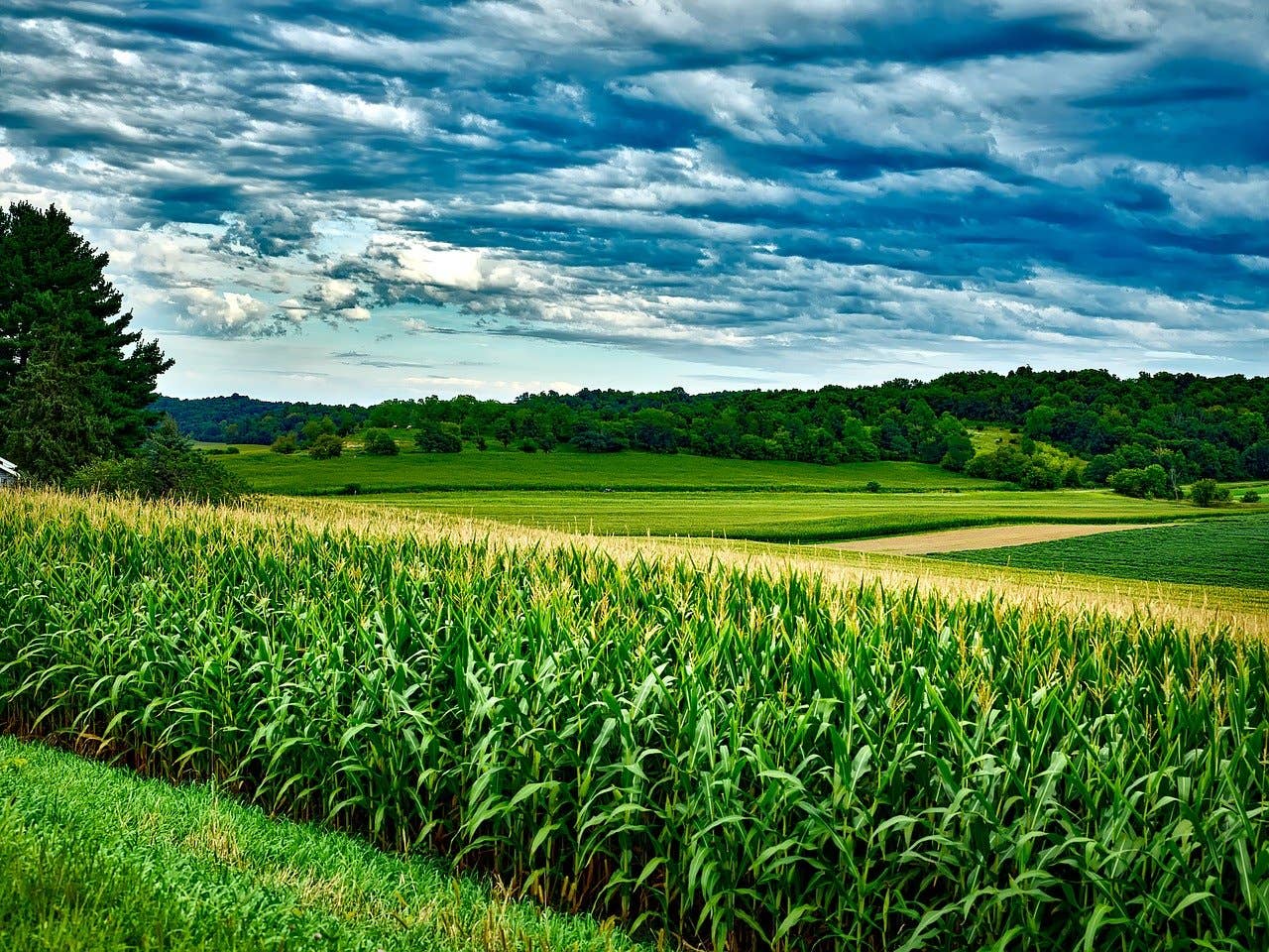 MN farmer gets a year in prison over loan fraud that cost USDA $435K - Vimarsana News