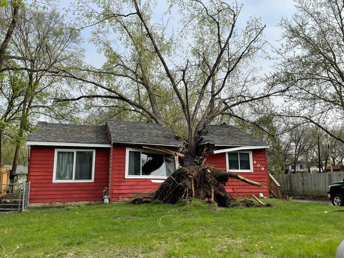 Storm fells tree in Coon Rapids, splitting house in