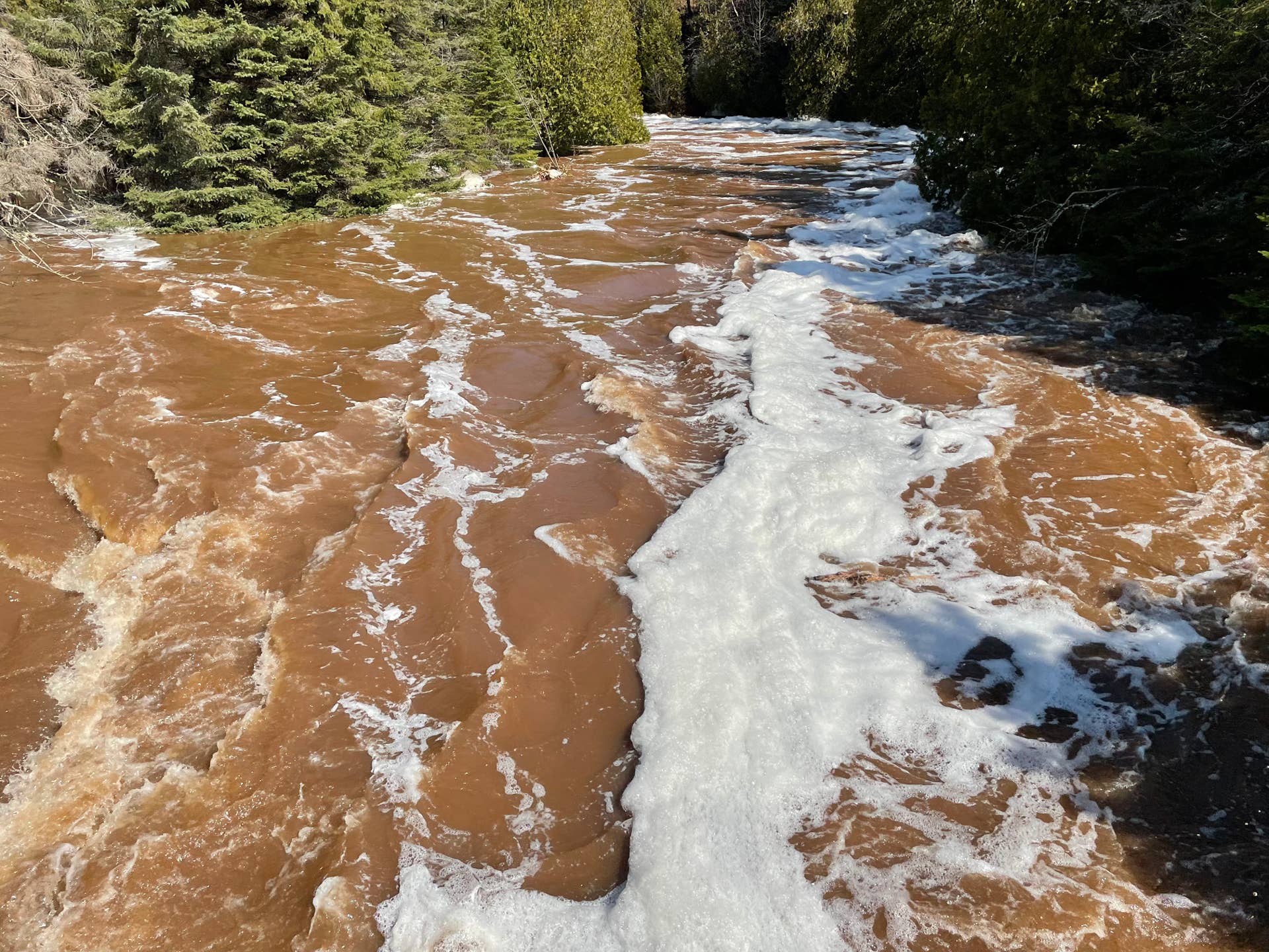 Raging North Shore rivers wipe out bridges, trees - Vimarsana News