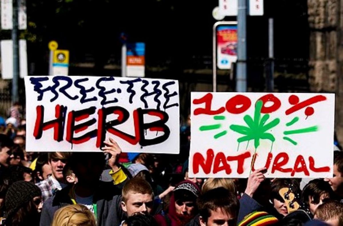 legalize weed sign crop