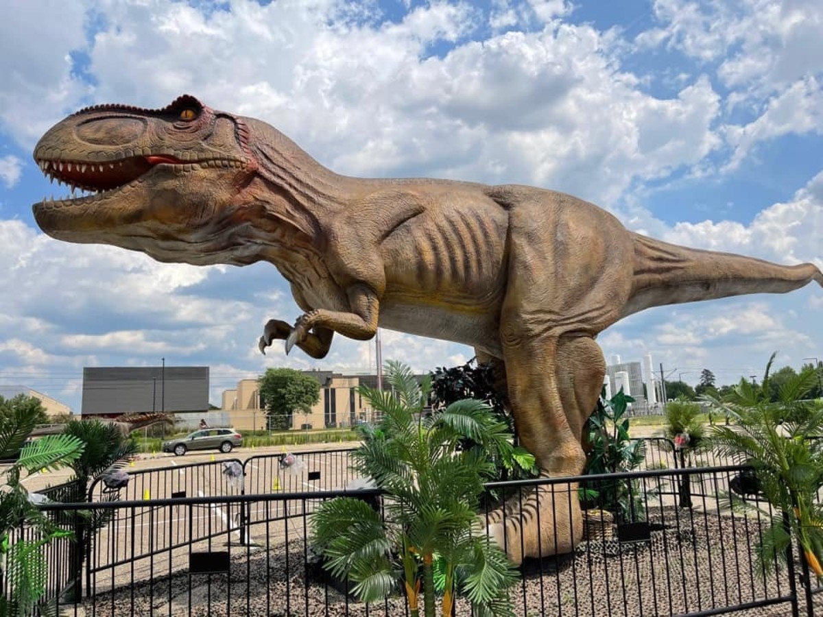 Dinosaur Drive Thru Extends Its Run At Mall Of America Parking Lot
