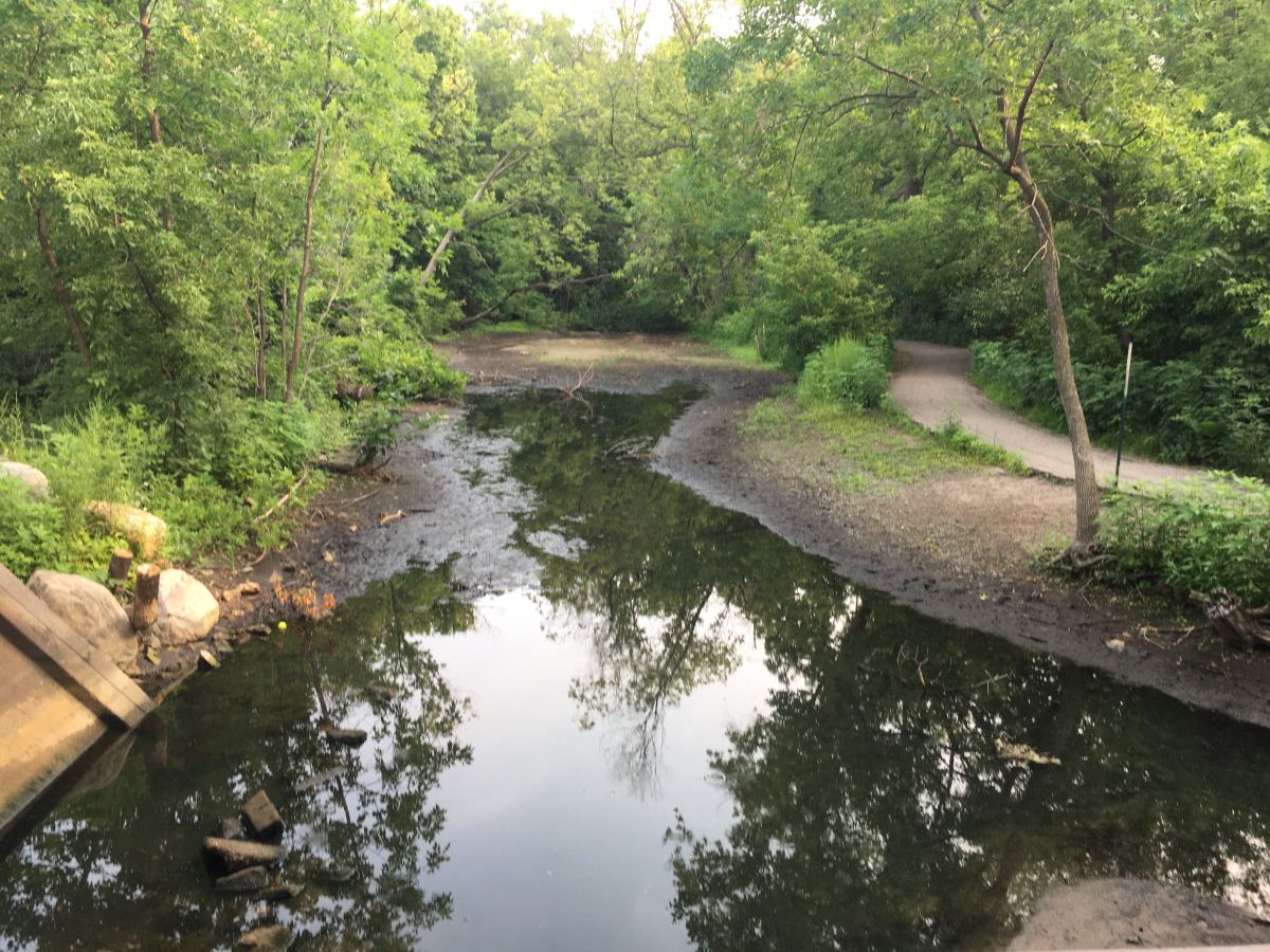The tributary between Minnehaha Creek and Lake Harriet in Minneapolis on July 20. 