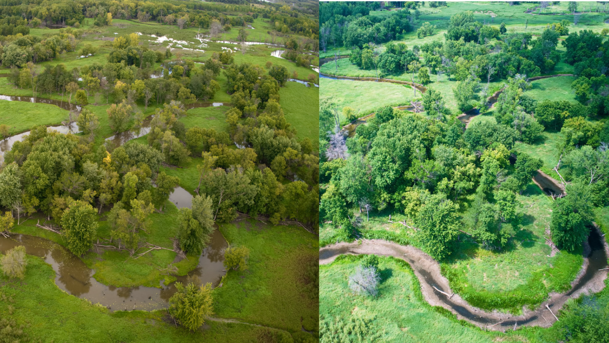 MN River backwaters 2019 (left) and 2021 (right)