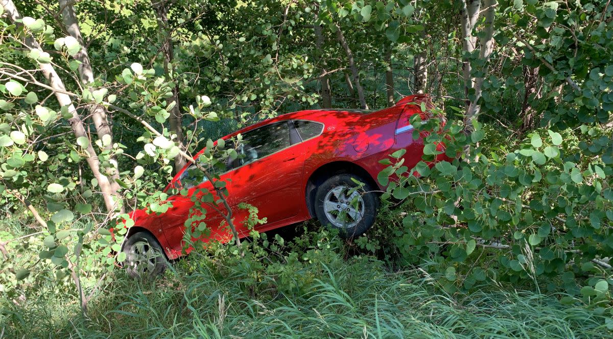 Driver Injured After Falling Asleep, Crashing Into Trees - Bring Me The ...