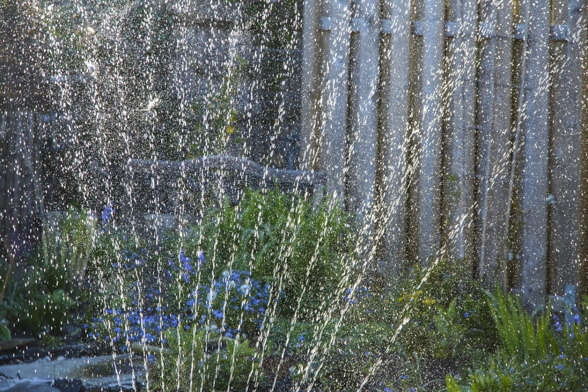 pixabay - sprinkler lawn watering garden