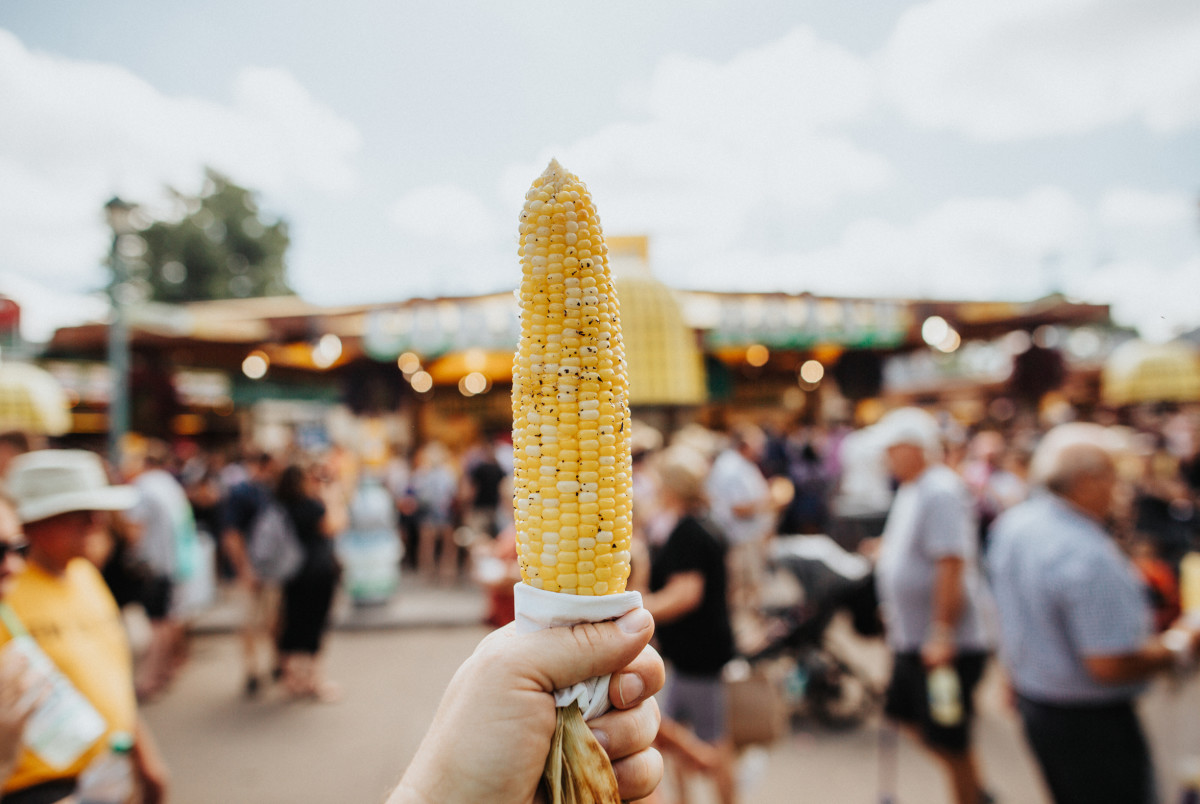 Minnesota State Fair - corn foreground image