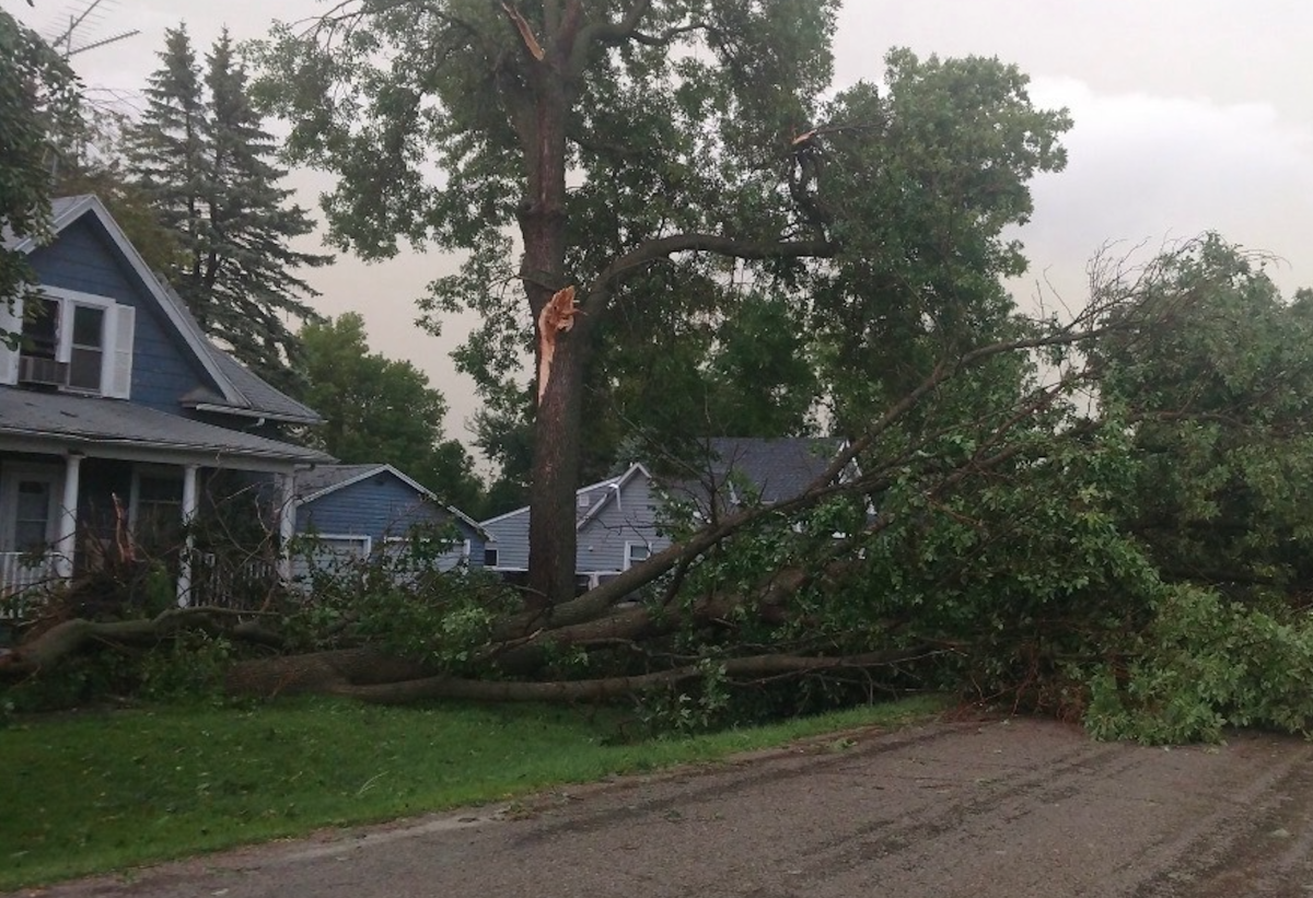 Storm reports from Saturday Baseballsized hail, extensive tree damage Bring Me The News