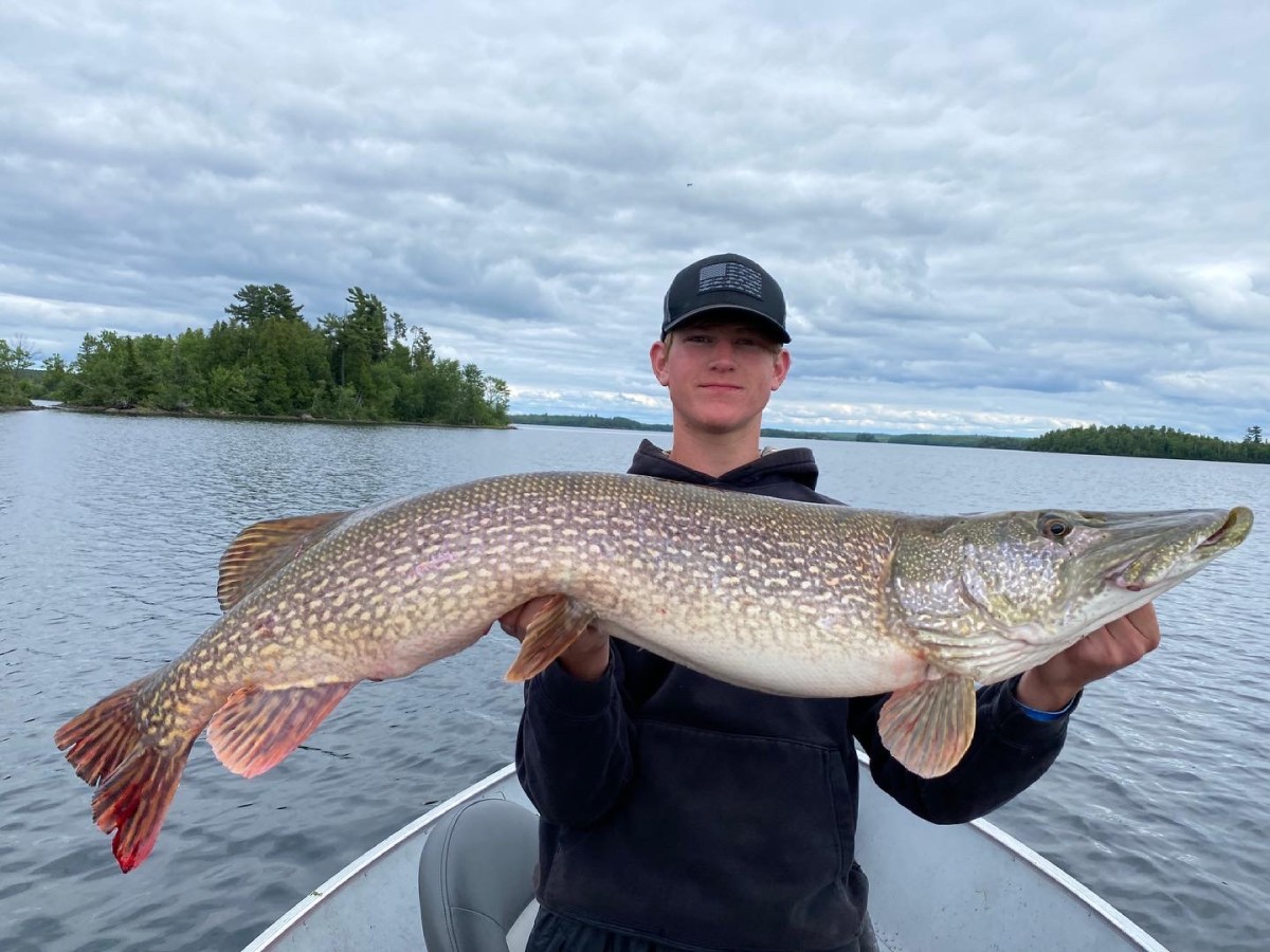 15yearold sets new Minnesota catchandrelease record for northern