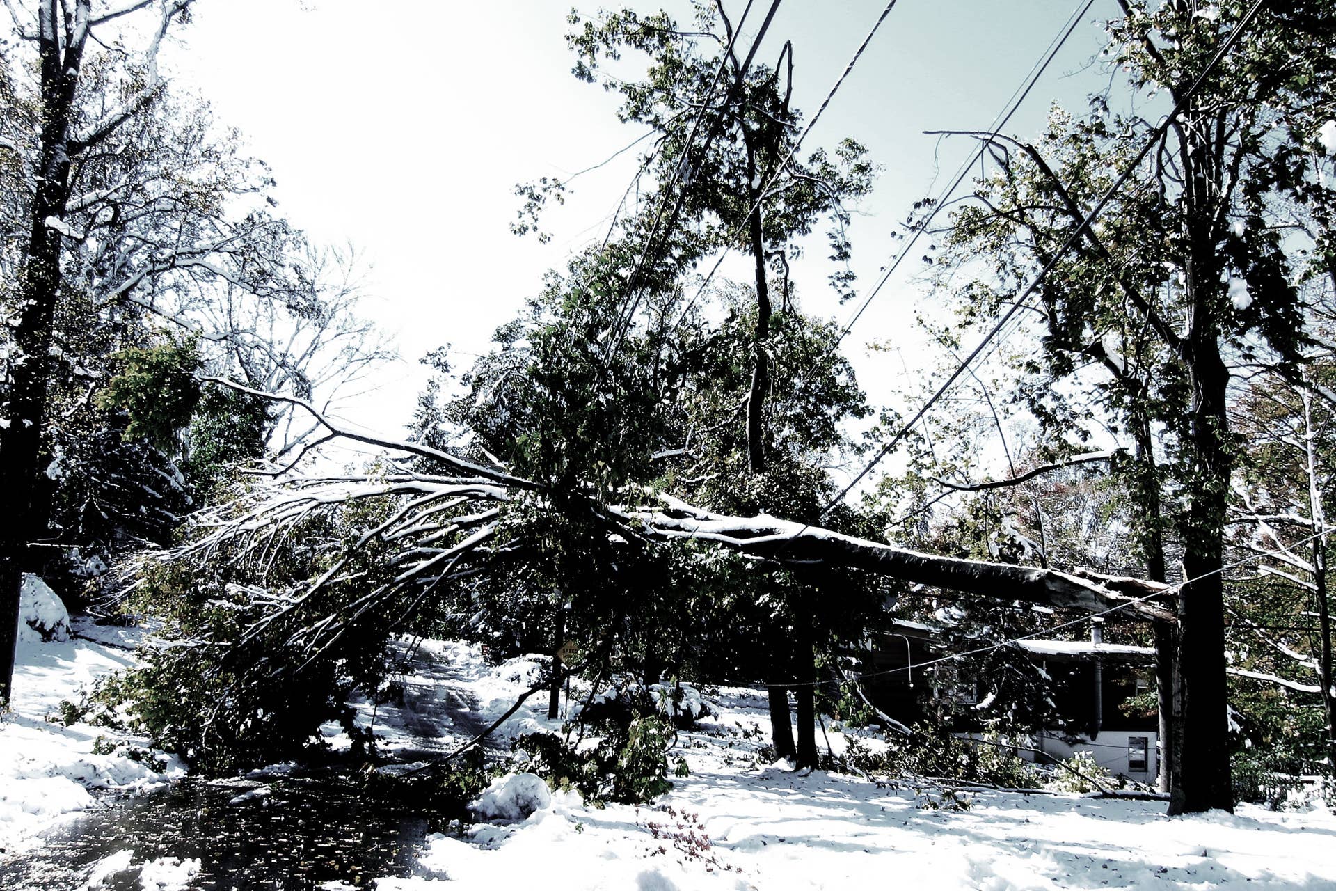 NWS in Duluth: 'Prepare now! Prepare now! Prepare now!' - Vimarsana News