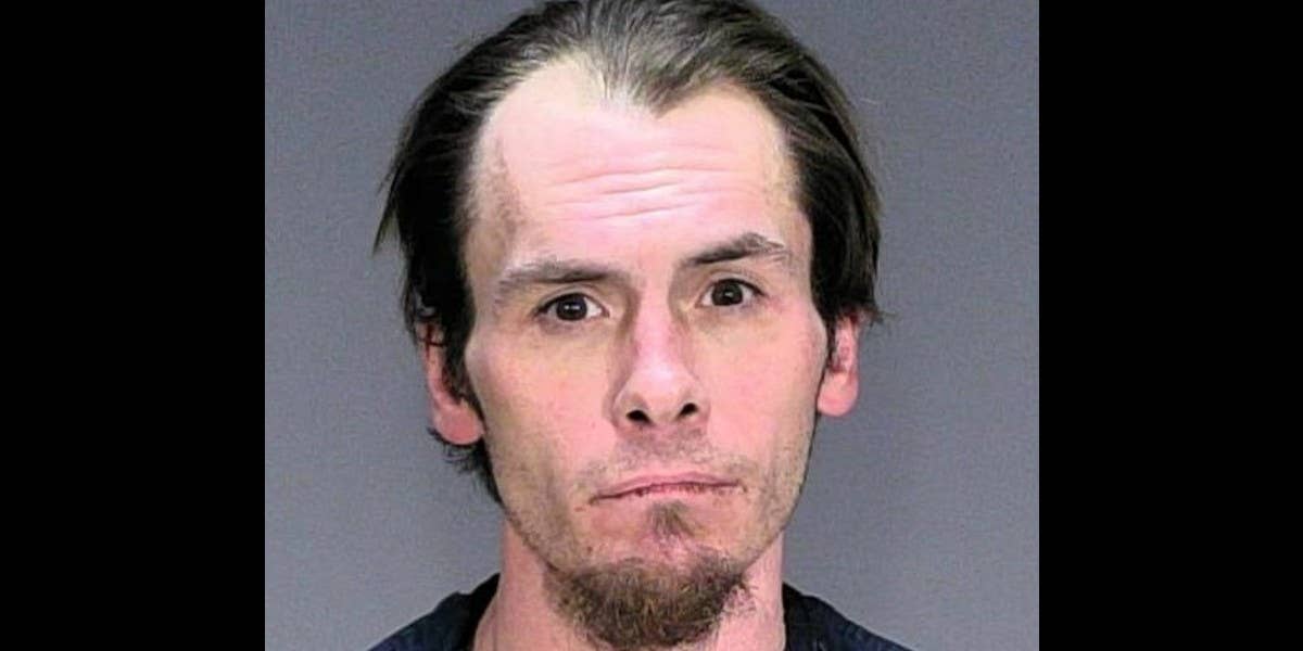 Charges: Oakdale man set house on fire, killing 5 cats - Vimarsana News