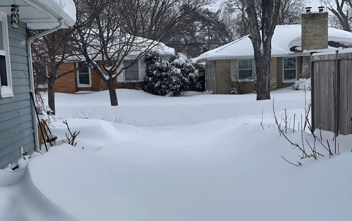 How much snow fell in Minnesota during this week's winter storm? - Bring Me  The News
