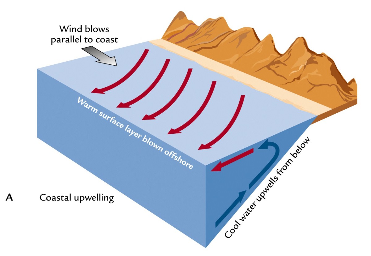 Super El Nino developing? What it could mean for Minnesota's weather