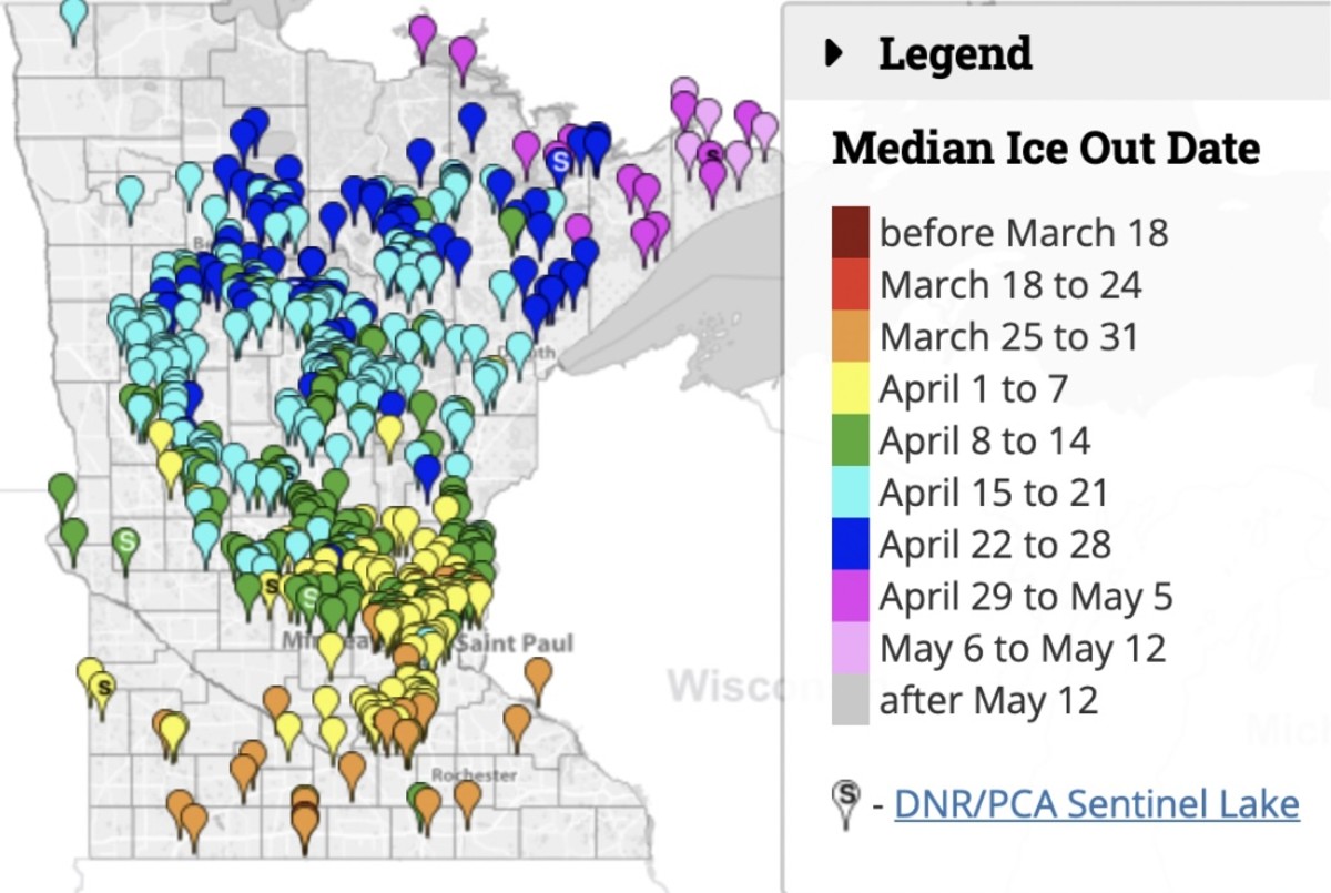 How Minnesota's stalled spring is creating a bird traffic jam Bring