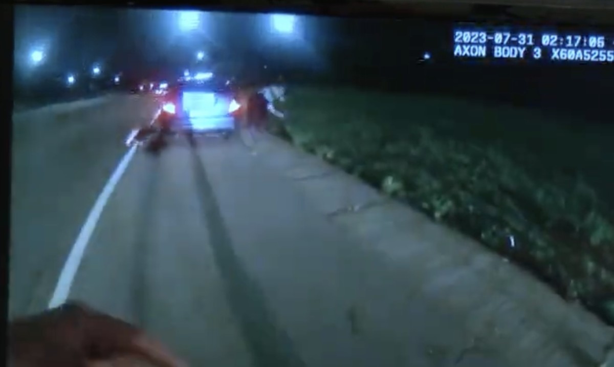 Minnesota State Patrol releases footage of fatal shooting of Ricky Cobb ...