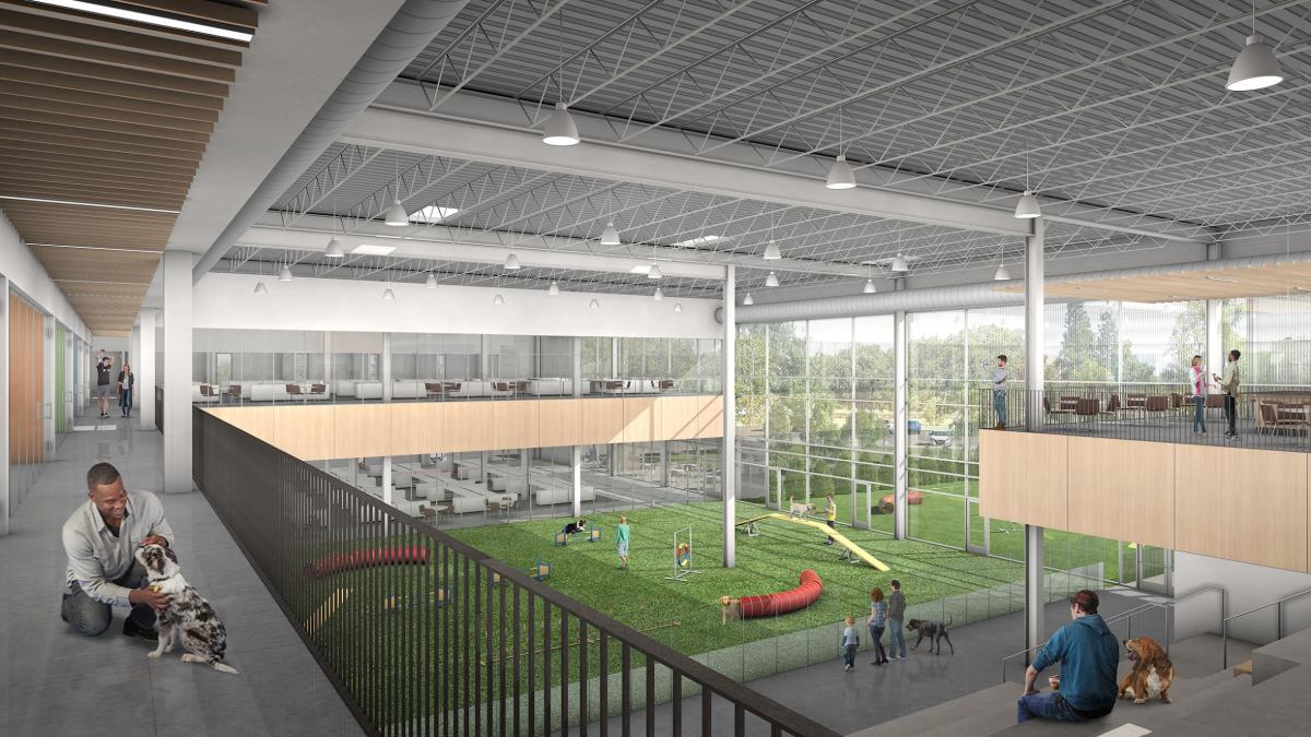 A conceptual rendering of the Animal Humane Society's adoption center and care campus being designed for St. Paul. Courtesy of the Animal Humane Society.
