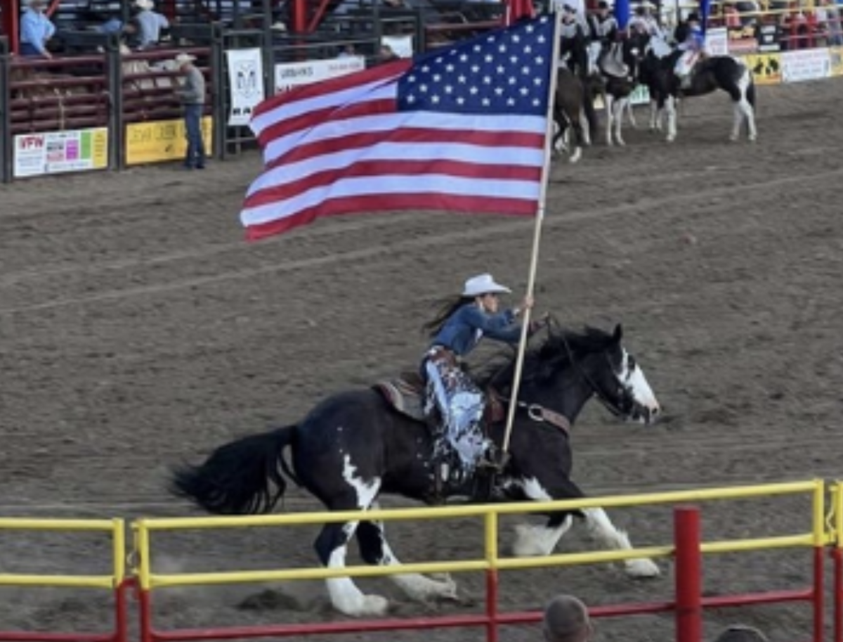 Horse dies from heart attack at rodeo in Minnesota - Bring Me The News