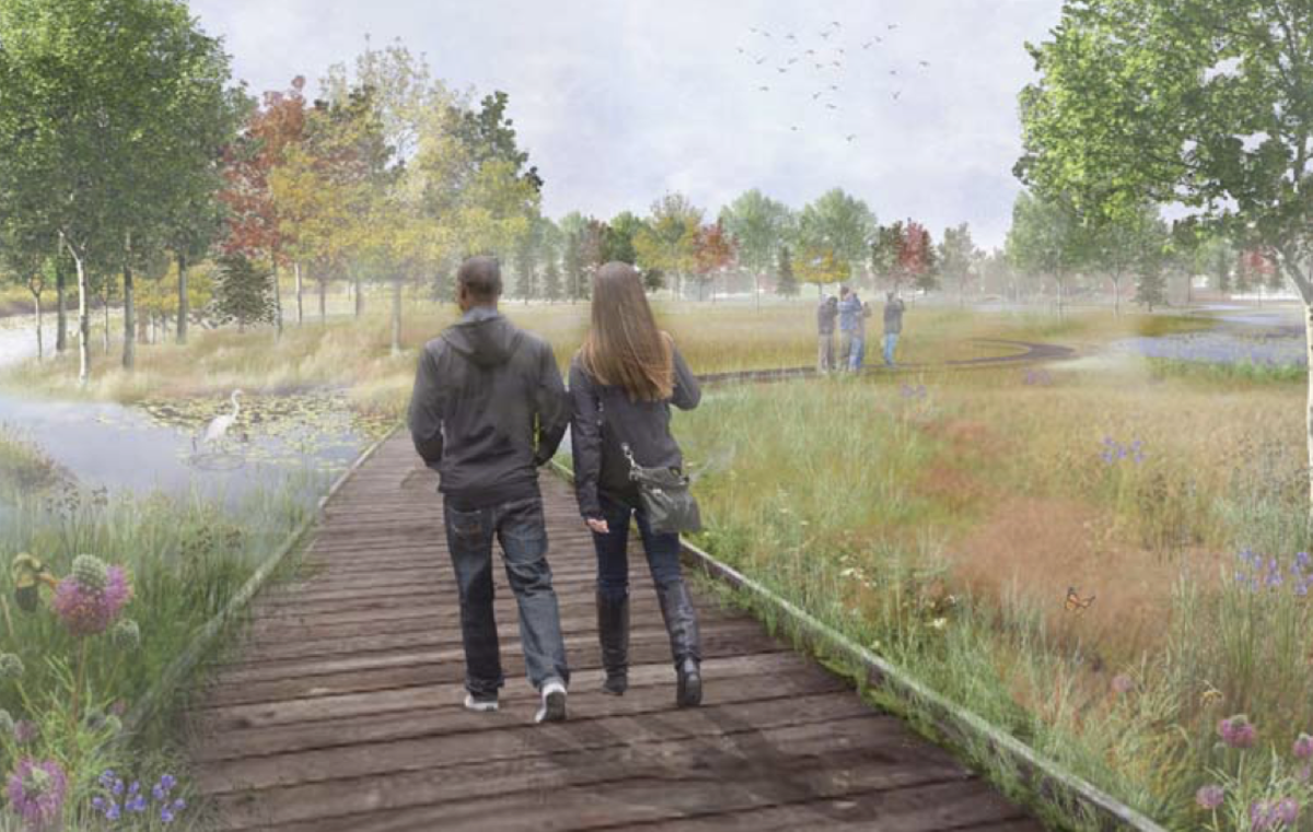 A rendering of native habitat restorations planned in the Fred Richards Park Master Plan. Courtesy of the City of Edina.