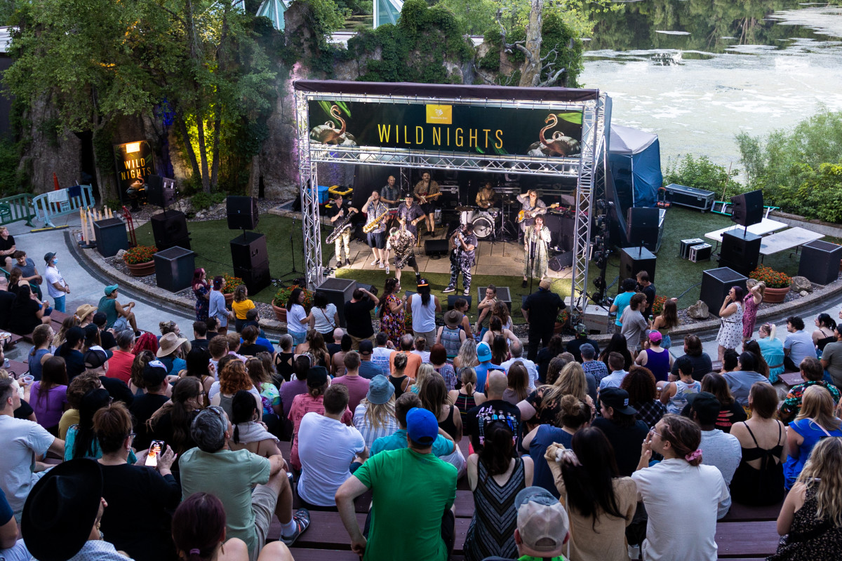 Guide The outdoor concerts, festivals you can attend in Minnesota this