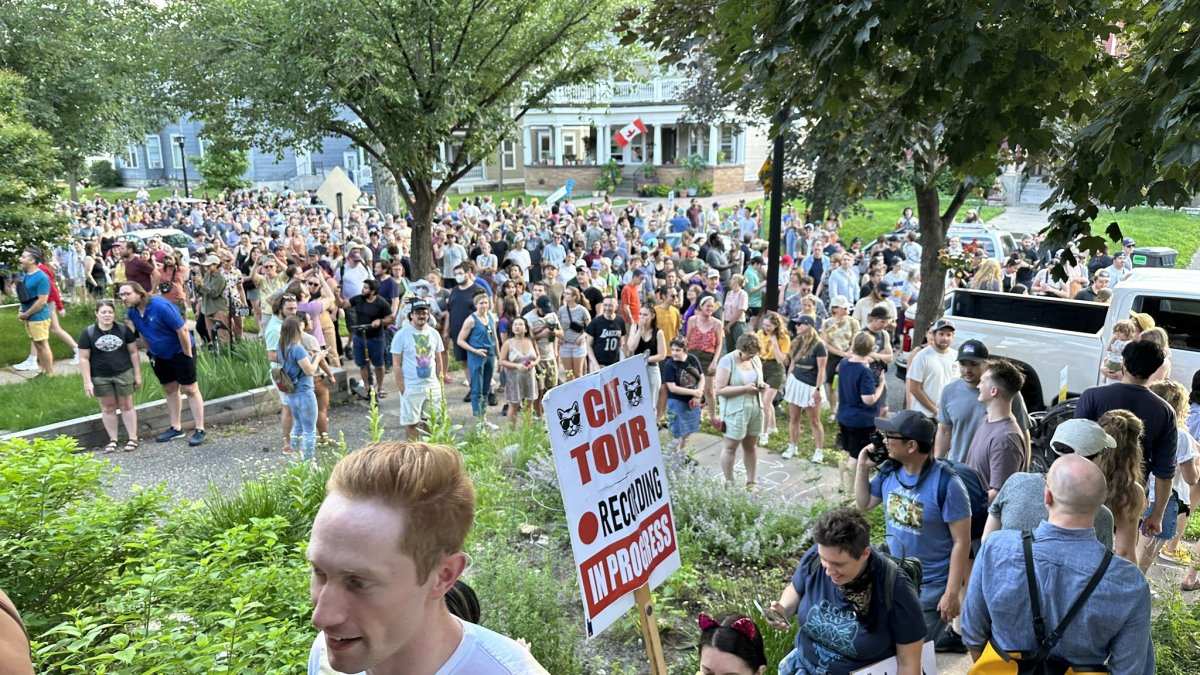 Minneapolis neighborhood cat tour returns next week Bring Me The News