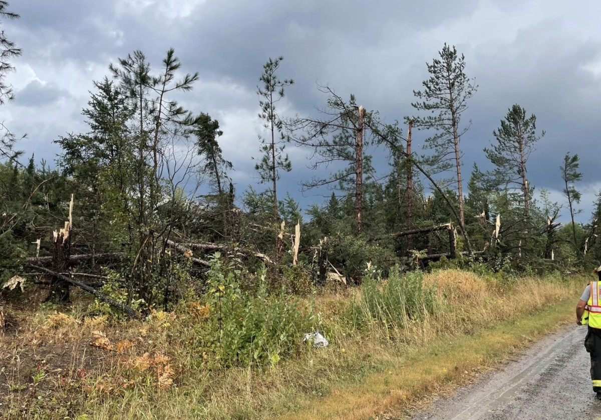 Tornado damage reported after Thursday's severe storms in Minnesota ...