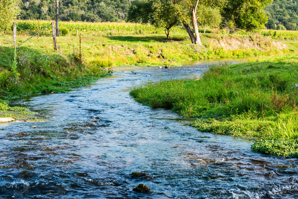 Southeastern Minnesota hunting estate listed for 11M Bring Me The News