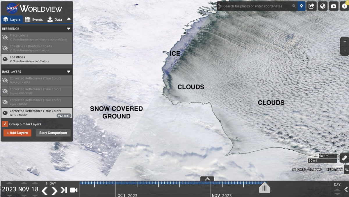 Sven Sundgaard: Every day matters for polar bears amid sea ice crisis ...